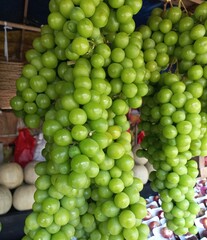 green grapes on the vine