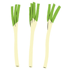 シンプルな長ネギのイラスト｜ベクター