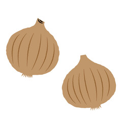 シンプルな玉ねぎのイラスト｜ベクター