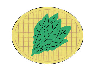 ザルに入ったほうれん草のイラスト｜ベクター