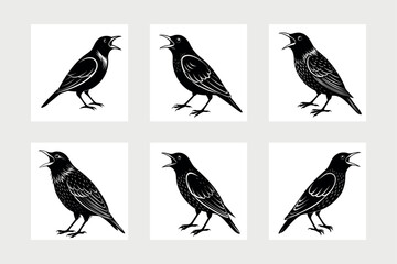 Fototapeta premium European starling bird icon vector illustration. 