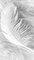 White Feather, Close Up With High Key Lighting On Seamless Textile Pattern Background