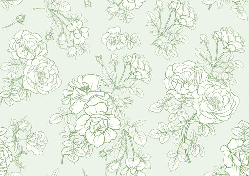 Rose flowers, Seamless pattern, background. Vector illustration. Outline hand drawing.