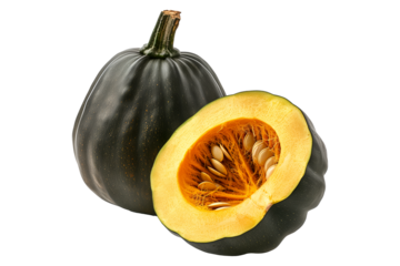Acorn squash isolated on a white background, great for autumn themes and decorations.
