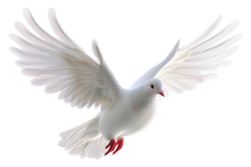 Obraz premium PNG 3D Illustration of flying cute dove animal white bird.