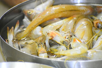fish in the pan