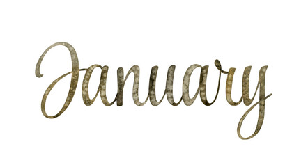 Watercolor hand drawn lettering isolated background. Handwritten message. Painted Months winter JANUARY text. Letters. Calendar, print, cards, banner, poster, glider, invitation, sticker