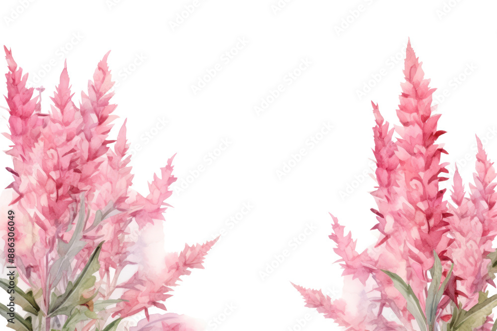 Poster png blossom flower plant petal.