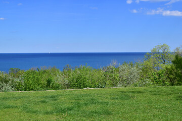 seascape overlooking the blue sea, bright sunny day. green grass on the coastline, leisure concept, tourism, vacation. pure sea water. Black Sea.