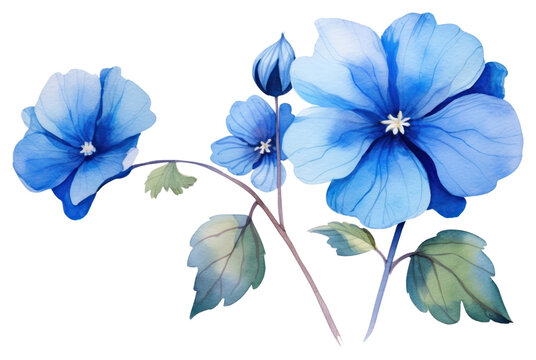PNG Flower plant leaf blue transparent background