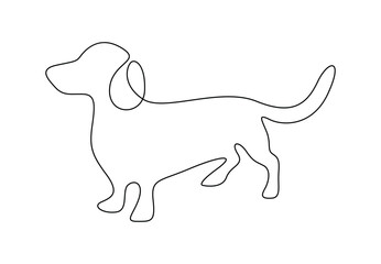 Vector illustration of dachshund dog continuous one line drawing. Pro vector