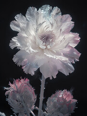 flower soft elegant vertical background, card template