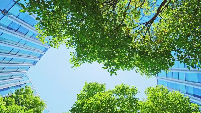 modern office building in the city