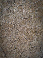 High-resolution texture of dry cracked earth, perfect for backgrounds and environmental concepts. Ideal for themes of drought, arid landscapes, and climate change.