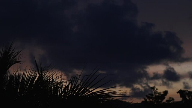 Short timelapse of cloudy sky during susnet with silhouette of palm trees in the foreground.