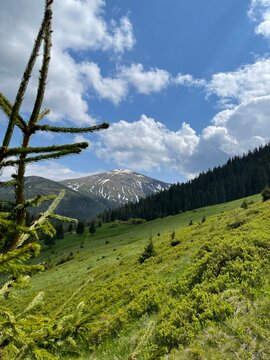 Hoverla