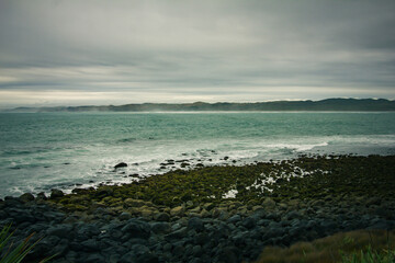 Large waves crash into with coastal rocks covered in green moss. Dramatic sea coast background. Raglan, New Zealand