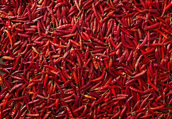Dried Red Chili Peppers Background Texture