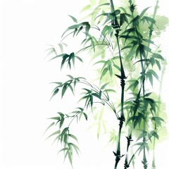 Serene Bamboo Grove in Japanese Ink Painting Style on White Background