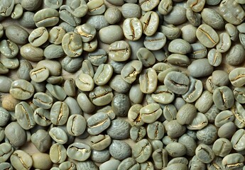 Green Coffee Beans Texture Close Up