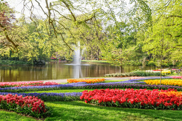 Beautiful park with blooming flowers over the lake, flower garden in Lisse, South Holland,...