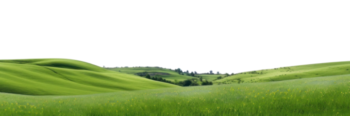 PNG Landscapes backgrounds grassland outdoors.