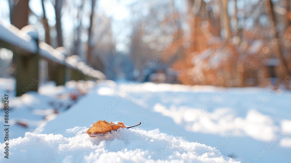 Poster a lone brown leaf lies on a pristine layer of snow, with a blurred background rich in trees and subt