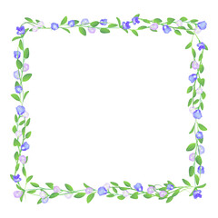 blooming butterfly pea flower on square frame background