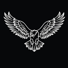 Obraz premium eagle with wings