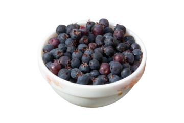Serviceberry in a bowl isolated, close up, png