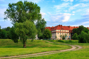 A dirt road leading through a beautiful lawn past a large green tree to a building with a red tiled roof. Blue sky with white clouds.