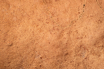 Padrão e textura da casca de sobreiro da qual sai a cortiça