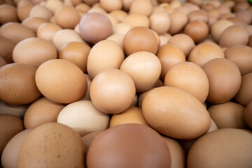 Fresh eggs for sale at supermarket.