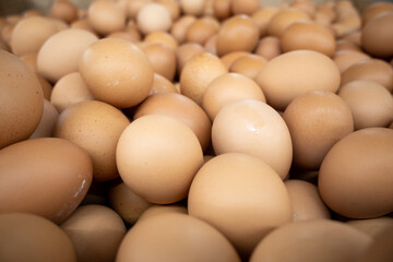 Fresh eggs for sale at supermarket.