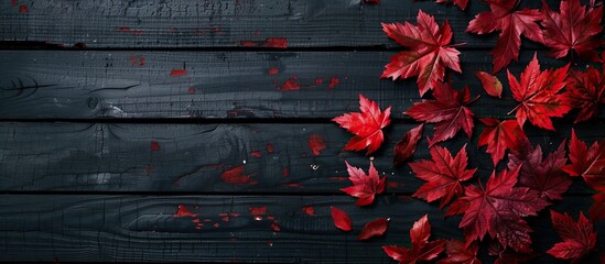 Fototapeta premium Autumn themed with red maple leaves on a dark wooden backdrop creating a striking image with copy space available