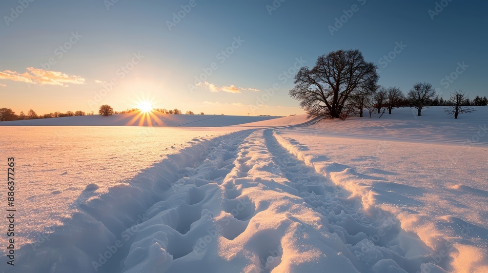 Poster the image captures a snow-covered field with trees at sunrise, creating a serene and peaceful winter