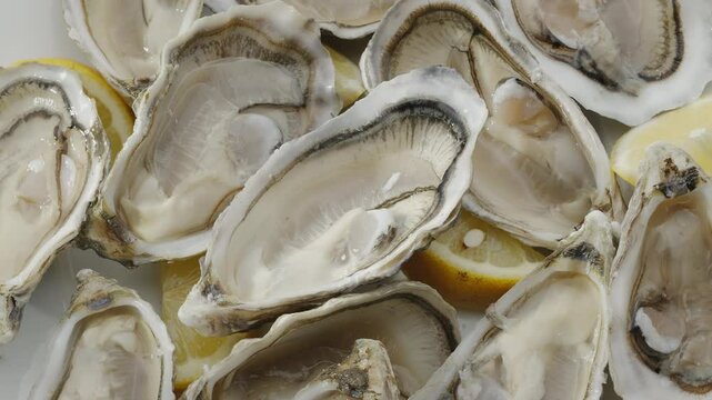 Fresh raw edible oysters, popular shellfish seafood close-up. Mollusk marine oysters.