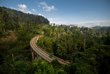 A train is seen traveling through a dense, green forest in Sri Lanka.
