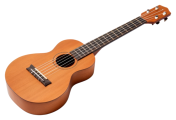 PNG Guitar white background performance fretboard.