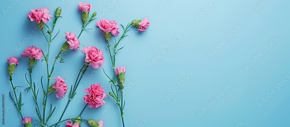 Poster mother's day theme featuring a blue backdrop with carnation flowers, suitable for adding text or ima
