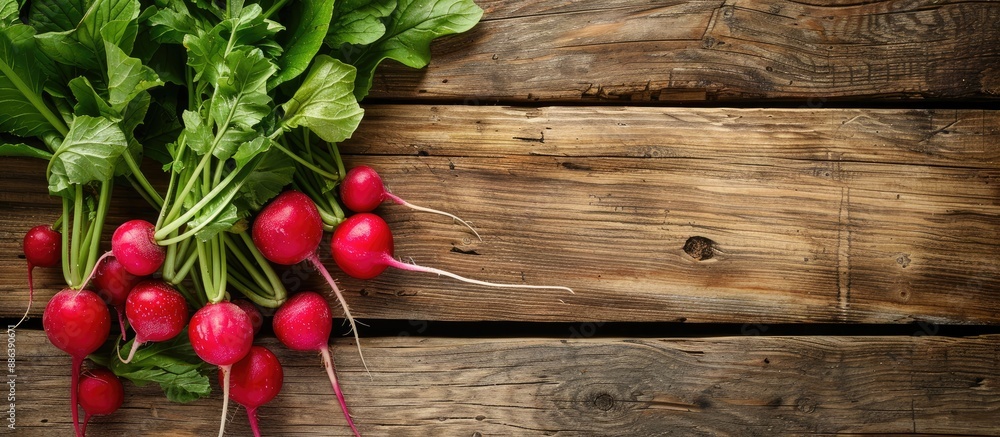 Poster fresh radishes placed on a rustic wooden table with a blank copy space image.