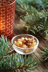 Frankincense or boswellia resin in a bowl with spruce tree branches