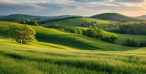 Fototapeta premium Rolling Green Hills Under a Cloudy Sky