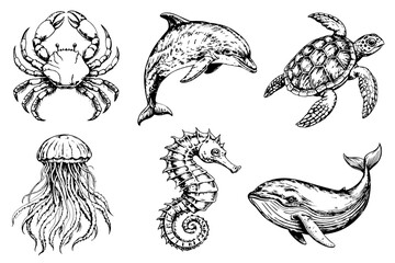 Set of sketches of sea creatures on a white background. Dolphin, jellyfish, crab, whale © dasha122007