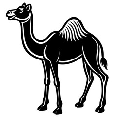 Camel isolated on a white background