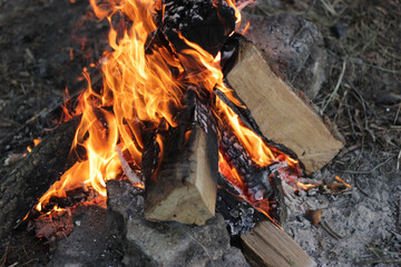 closeup view of burning campfire in the evening