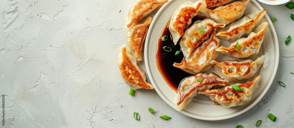 Poster Top view of fried gyoza dumplings with soy sauce and onion on a light gray background with space for text or other elements within the image. with copy space image. Place for adding text or design