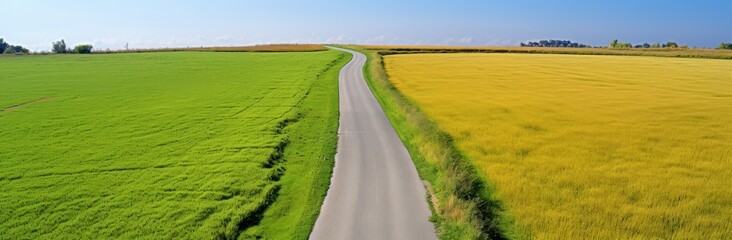 Naklejka premium Asphalt road between vibrant green and yellow fields. Aerial view of a straight road dividing agricultural land with a blue sky. Concept of travel, journey, destination, agriculture, and countryside.