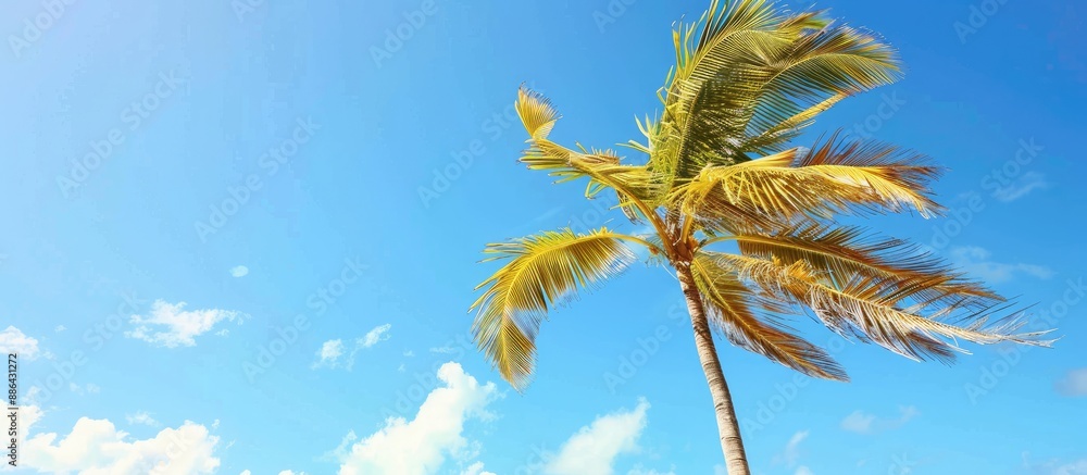Poster wind swaying a vibrant palm tree against a clear blue sky backdrop on a bright and breezy day ideal 