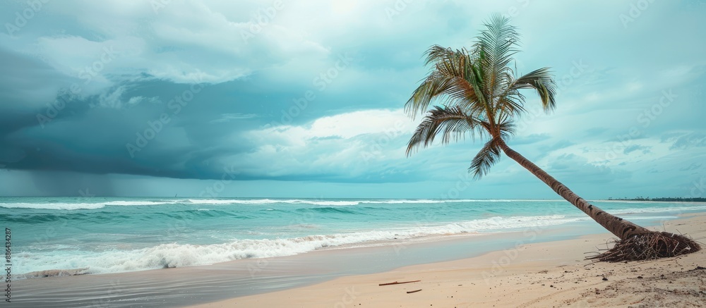 Poster a tropical beach scene with a palm tree leaning in the wind perfect for a copy space image